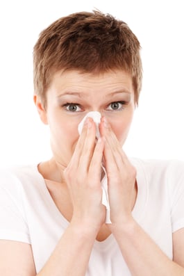 Woman_with_tissues_sneeze.jpg Woman_with_tissues_sneeze.jpg